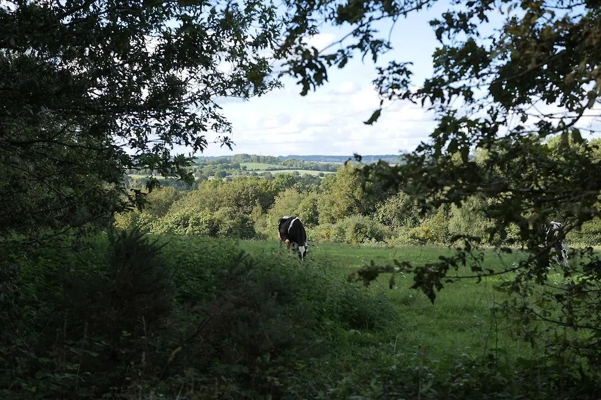 Grande Maison Pleine Campagne, Sud Morbihan, A 25 Minutes De La Mer Saint-Dolay Feriehus